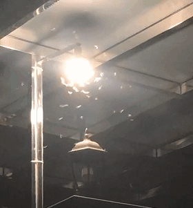 12.gif