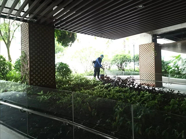 DM_20251021091643_028.jpg