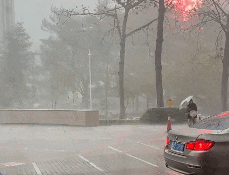 1.gif