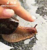 640.gif