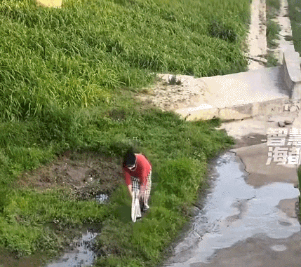 11.gif