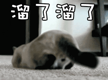 15.gif