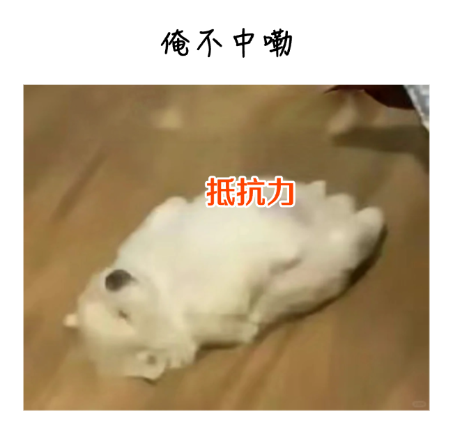 10.png
