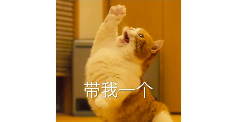 6.png