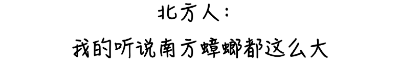13.png