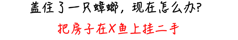 15.png