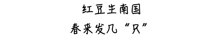20.png