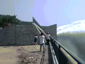 6.gif