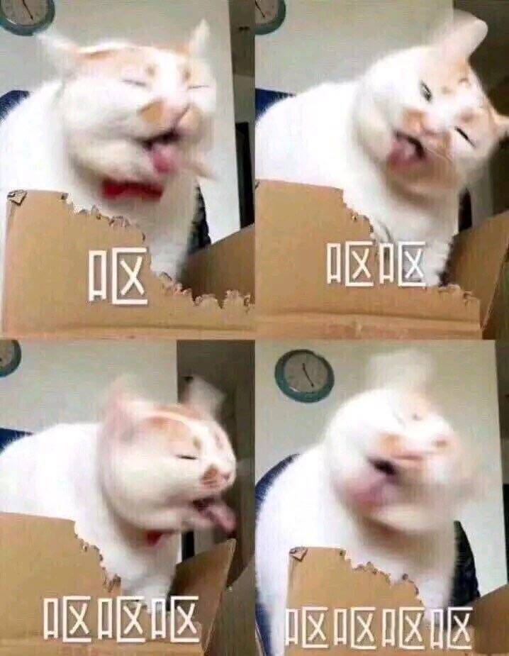 20.png