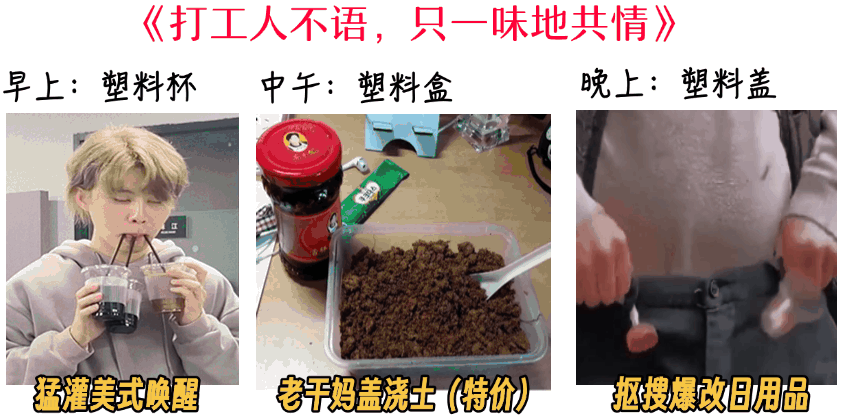 6.gif