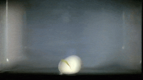 5.gif