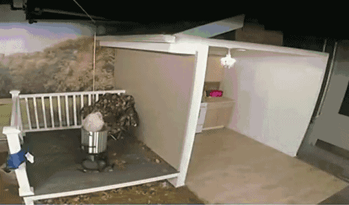 7.gif