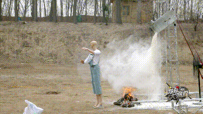 8.gif