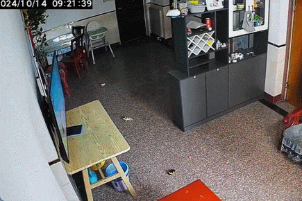 10.gif
