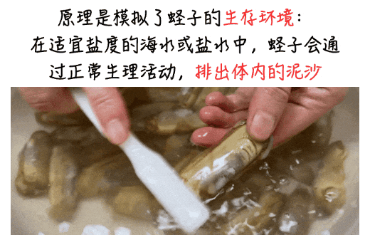 8.gif