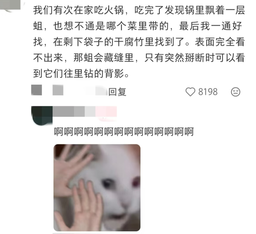 11.png