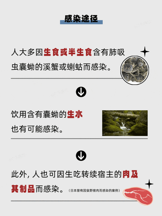 5.gif