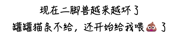 9.png