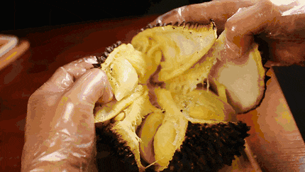 15.gif