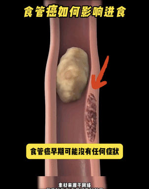 7.gif