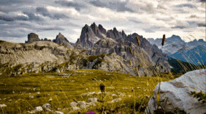 1.gif