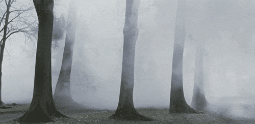 6.gif