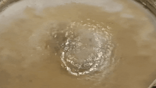 13.gif