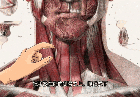 21.gif